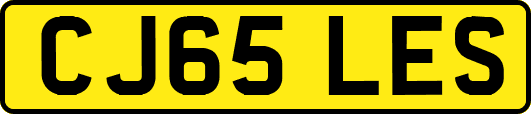 CJ65LES