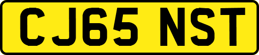 CJ65NST