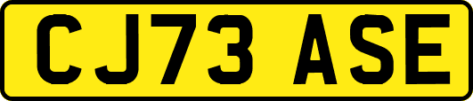 CJ73ASE