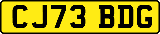 CJ73BDG