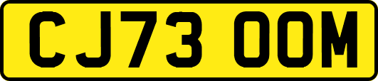 CJ73OOM