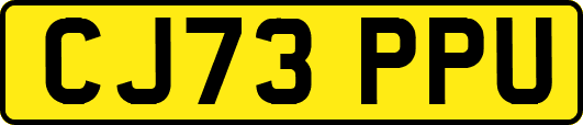 CJ73PPU