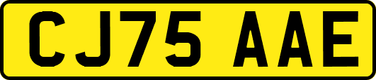 CJ75AAE