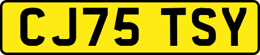 CJ75TSY