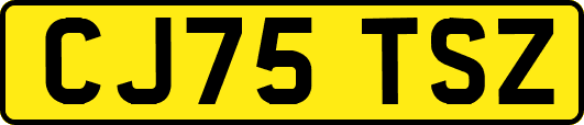 CJ75TSZ