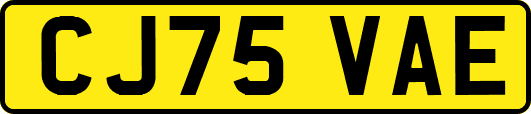 CJ75VAE