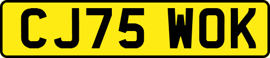 CJ75WOK