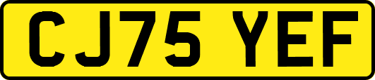 CJ75YEF