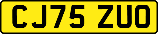 CJ75ZUO