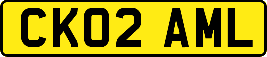 CK02AML
