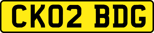 CK02BDG