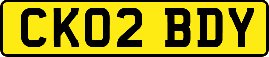 CK02BDY