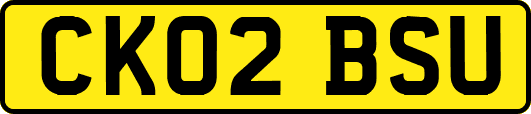CK02BSU
