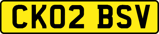 CK02BSV