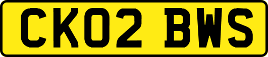CK02BWS