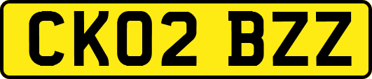 CK02BZZ