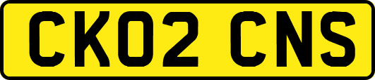 CK02CNS
