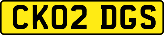 CK02DGS