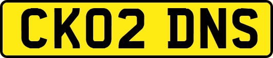 CK02DNS