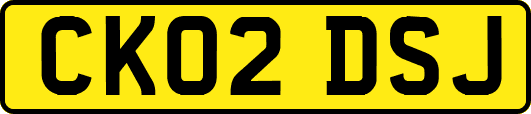 CK02DSJ