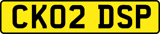 CK02DSP