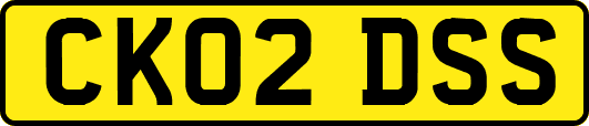 CK02DSS