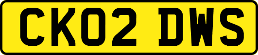 CK02DWS