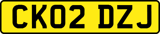 CK02DZJ