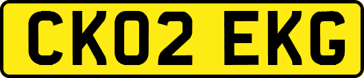 CK02EKG