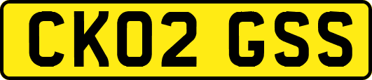 CK02GSS