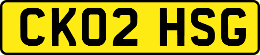 CK02HSG