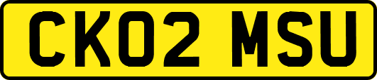 CK02MSU
