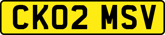 CK02MSV