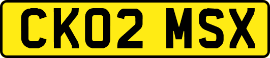 CK02MSX