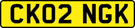 CK02NGK