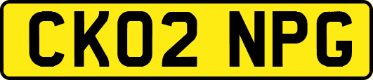 CK02NPG