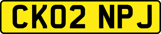 CK02NPJ