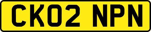 CK02NPN