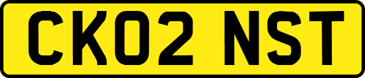 CK02NST