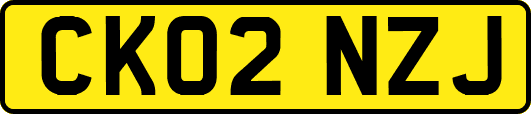 CK02NZJ