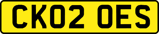 CK02OES