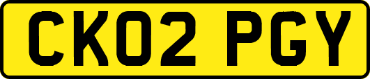 CK02PGY
