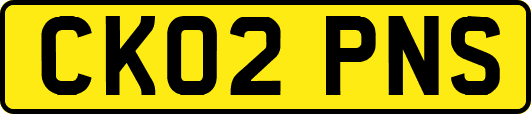 CK02PNS