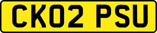 CK02PSU