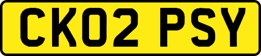 CK02PSY