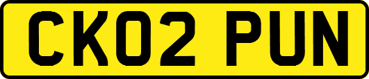 CK02PUN