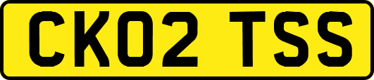 CK02TSS