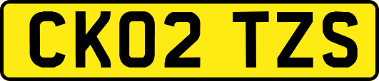 CK02TZS