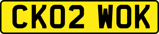 CK02WOK