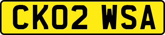 CK02WSA